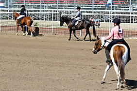 Horseshow