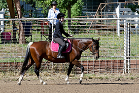 Horseshow