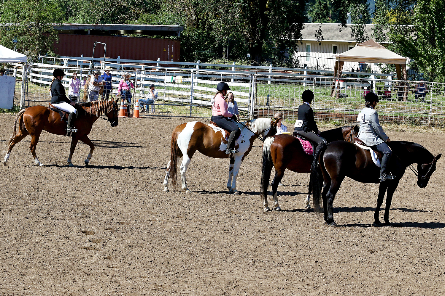 Horseshow