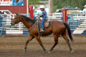 Junior Rodeo